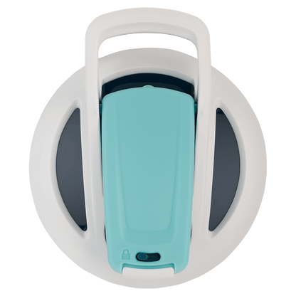 Blue Spruce - Sleek Sport - D7ZS